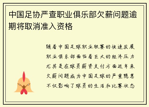 中国足协严查职业俱乐部欠薪问题逾期将取消准入资格