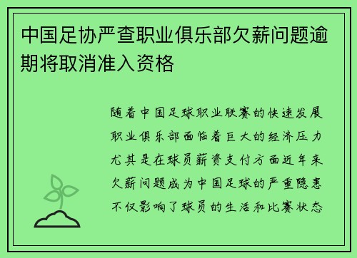 中国足协严查职业俱乐部欠薪问题逾期将取消准入资格